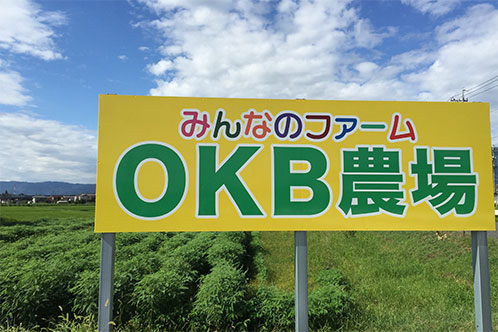 OKB農場とは