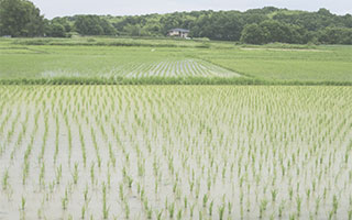 池田町地方創生トータルコーディネート業務